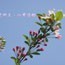 三·八节活动
