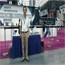 所领导应邀参加纽约会展